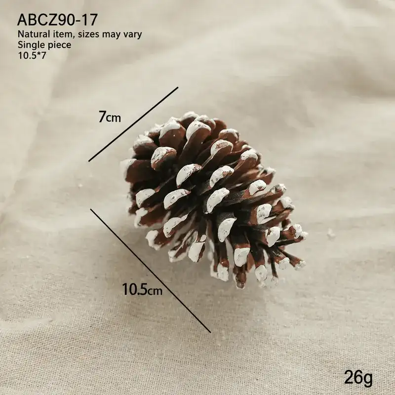 Christmas Natural Pine Cones and Raw Wood Decorative Materials