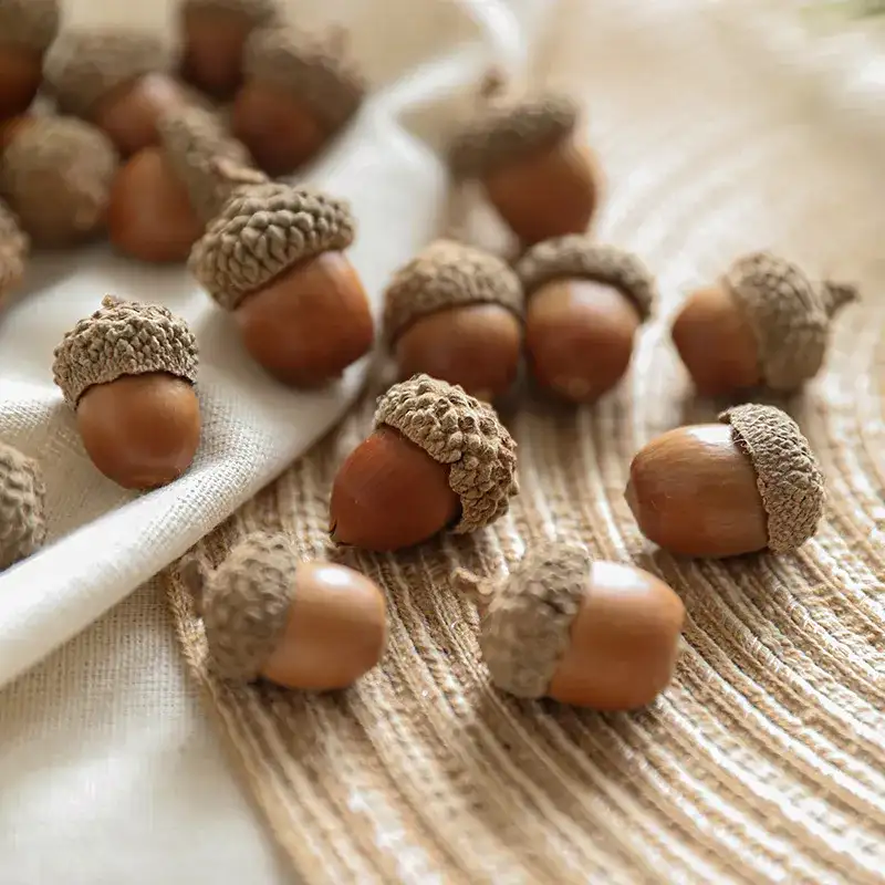 Christmas Natural Pine Cones and Raw Wood Decorative Materials
