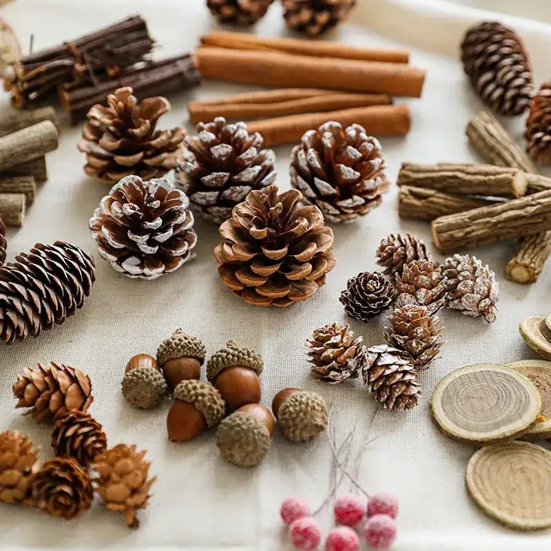 Christmas Natural Pine Cones and Raw Wood Decorative Materials