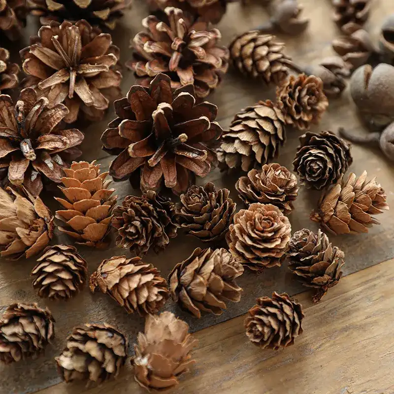 Christmas Natural Pine Cones and Raw Wood Decorative Materials